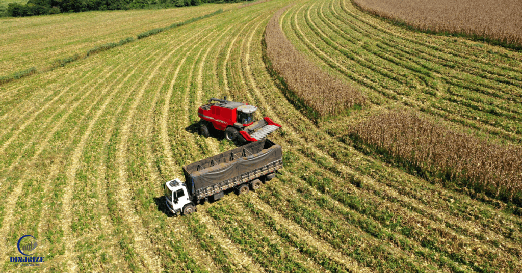 agriculture et agro industrie maroc