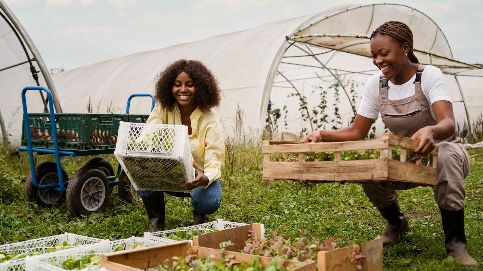 Photo d’un champ agricole modernisé avec technologies durables, mettant en avant la stratégie "Génération Green".