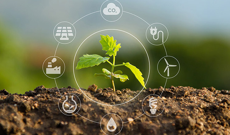 Représentation d’un projet lié à l’économie circulaire et au recyclage.