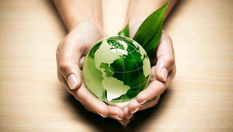 Illustration de la transition écologique , représentant l’investissement dans les énergies renouvelables.